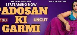 Padosan Ki Garmi 2024 Hindi ShowHit Short Films 720p WEB-DL 1Click Download