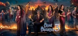 Bhool Bhulaiyaa 3 (2024) Hindi PreDVDRip x264 AAC 1080p 720p 480p Download