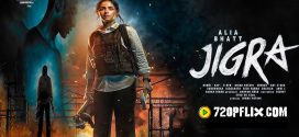 Jigra (2024) Hindi Movie HDTS x264 AAC 1080p 720p 480p Download