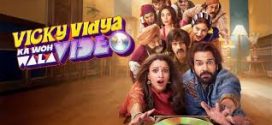 Vicky Vidya Ka Woh Wala Video (2024) Hindi PreDVDRip x264 AAC 1080p 720p 480p Download