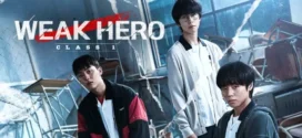 Weak Hero (2025) S01 Dual Audio [Hindi-Korean] NetFlix WEB-DL H264 AAC 1080p 720p 480p ESub