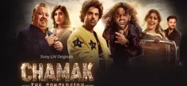 Chamak (2025) S01-S02 Hindi 1080p WEBRip x264 AAC Download