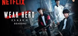 Weak Hero (2025) S02 Dual Audio [Hindi-Korean] NetFlix WEB-DL H264 AAC 1080p 720p 480p ESub