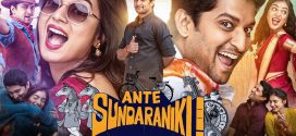 Ante Sundaraniki (2022) Dual Audio [Hindi HQ-Telugu] WEB-DL 1080p 720p 480p ESub