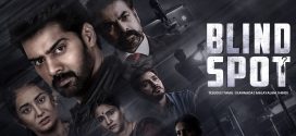 Blind Spot 2025 Hindi Dubbed Movie ORG 720p WEB-DL 1Click Download