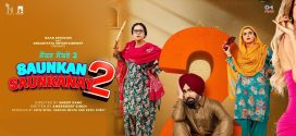 Saunkan Saunkanay 2 (2025) Telugu 720p CAMRip x264 AAC