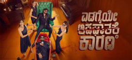 Edagaiye Apaghatakke Karana (2025) Kannada 720p CAMRip x264 AAC Download