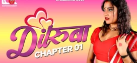 Dilruba (2025) S01 Hindi LookEntertainment WEB-DL H264 AAC 1080p 720p Download