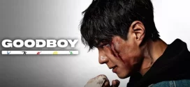 Good Boy (2025) S01E12 Dual Audio [Hindi-Korean] AMZN WEB-DL 1080p 720p ESub