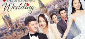 My Best Friends Wedding (2016) Dual Audio [Hindi ORG-Chinese] 720p 480p ESub