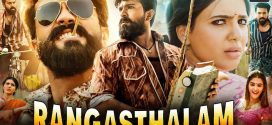 Rangasthalam (2018) Uncut Dual Audio [Hindi ORG-Telugu] WEB-DL 1080p 720p 480p ESub