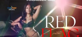 Red Flag (2024) Tagalong VMAX WEB-DL H264 AAC 1080p 720p 480p Download