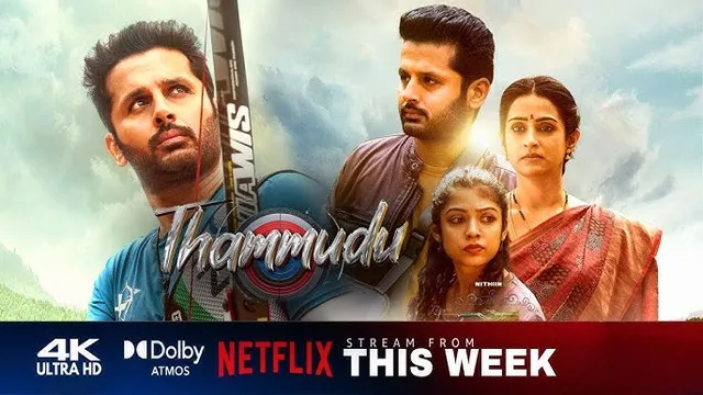 Thammudu (2025) Telugu NetFlix WEB-DL H264 AAC 1080p 720p 480p ESub