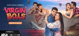 Virgin Boys (2025) Hindi 1080p WEBRip x264 AAC