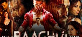 Baaghi 4 (2025) Hindi HQ HDTC H264 AAC 1080p 720p 480p Download