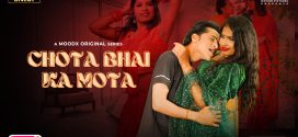 Chota Bhai Ka Mota (2025) Uncut S01E02 Hindi MoodX Hot Series 1080p Watch Online