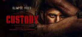 Custody (2025) Hindi – Kannada 720p WEBRip x264 AAC