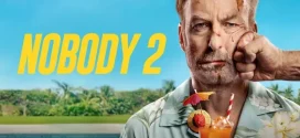 Nobody 2 (2025) Dual Audio [Hindi ORG-English] AMZN WEB-DL 1080p 720p 480p ESub