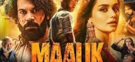 Maalik (2025) Hindi 1080p WEBRip x264 AAC